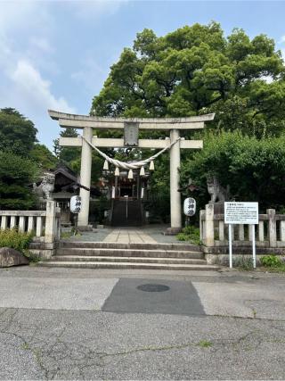 八雲神社の参拝記録(ゆうさん)