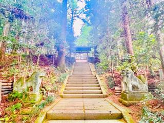 新里今宮神社の参拝記録(shikigami_hさん)