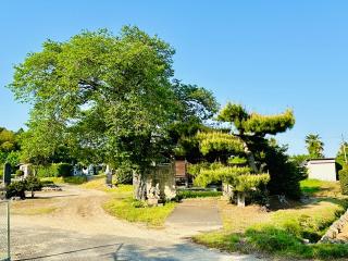 熊野神社の参拝記録(shikigami_hさん)