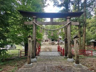 安房神社の参拝記録(さとみさん)