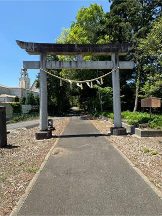 安房神社の参拝記録(こーちんさん)