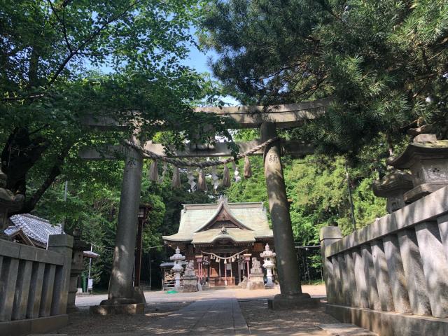 栃木県小山市粟宮１６１５ 安房神社の写真4