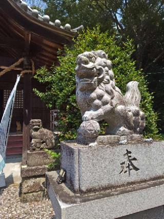網戸神社の参拝記録(はじめさん)
