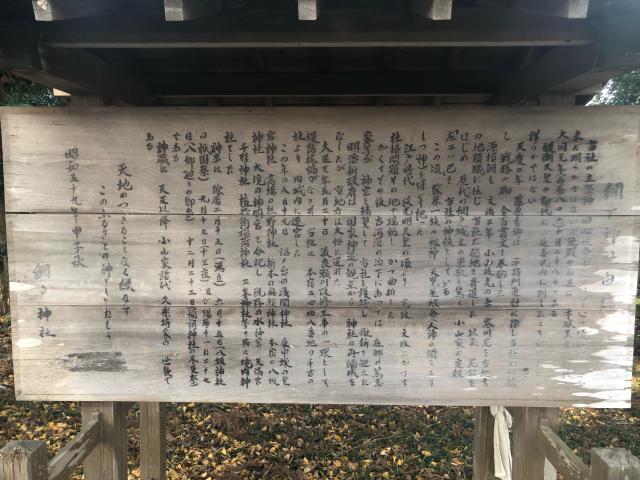 栃木県小山市網戸2025 網戸神社の写真6