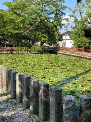 人丸神社の参拝記録(よしさん)