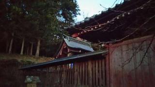 露垂根神社の参拝記録(優雅さん)