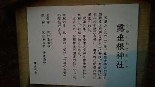 露垂根神社の参拝記録(優雅さん)