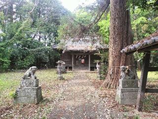 鷲宮神社の参拝記録(さとみさん)