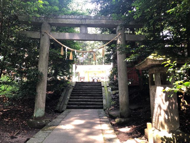 栃木県塩谷郡塩谷町船生８１７１ 岩戸別神社の写真3