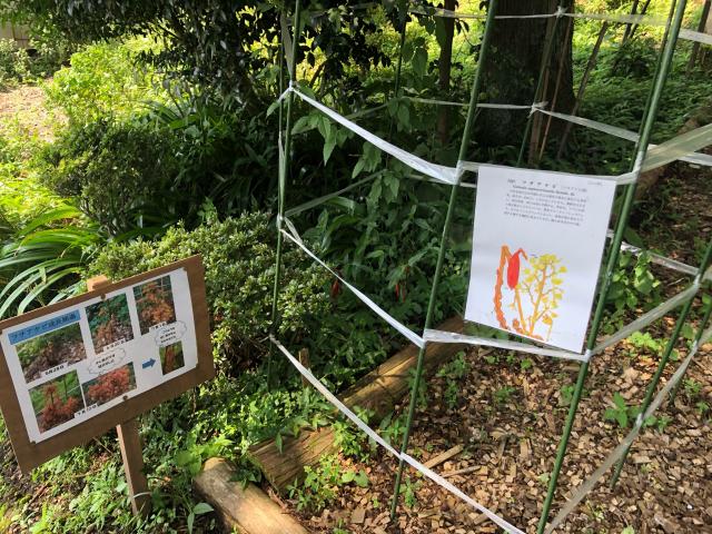 栃木県塩谷郡塩谷町船生８１７１ 岩戸別神社の写真8