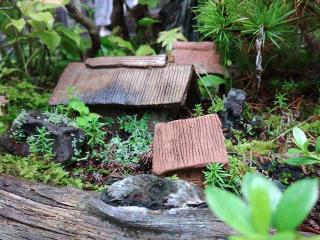 岩戸別神社の参拝記録(しんのすけさん)