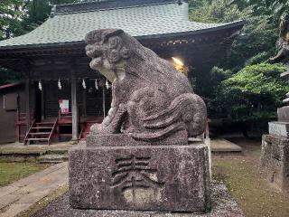 藤岡神社の参拝記録(さとみさん)