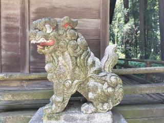 藤岡神社の参拝記録(さとみさん)