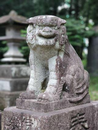 藤岡神社の参拝記録(たけちゃ～ん⚾さん)