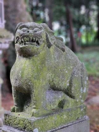 藤岡神社の参拝記録(たけちゃ～ん⚾さん)
