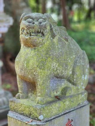 藤岡神社の参拝記録(たけちゃ～ん⚾さん)