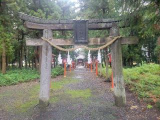 春日神社の参拝記録(まっきーさん)