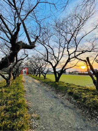 春日神社の参拝記録(shikigami_hさん)