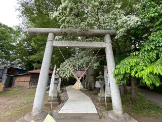 向田神社の参拝記録(さくらもちさん)