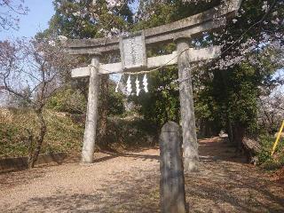 千代ヶ岡八幡宮の参拝記録(🐺⛩️🐺さん)