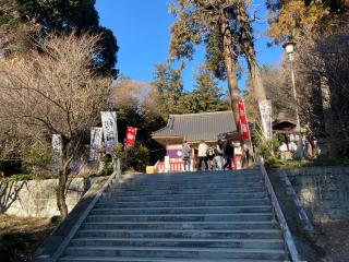 千代ヶ岡八幡宮の参拝記録(レモンサワーさん)