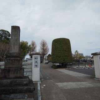 法興山　妙光寺の参拝記録(しろぎすさん)