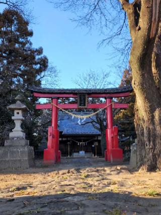 倭文神社の参拝記録(たけちゃ～ん⚾さん)