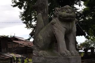 千本木神社の参拝記録(たーこさん)