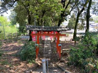 蓮神社の参拝記録(明介さん)