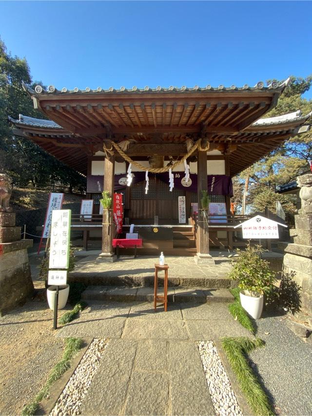 群馬県伊勢崎市豊城町1988番地1 蓮神社の写真1