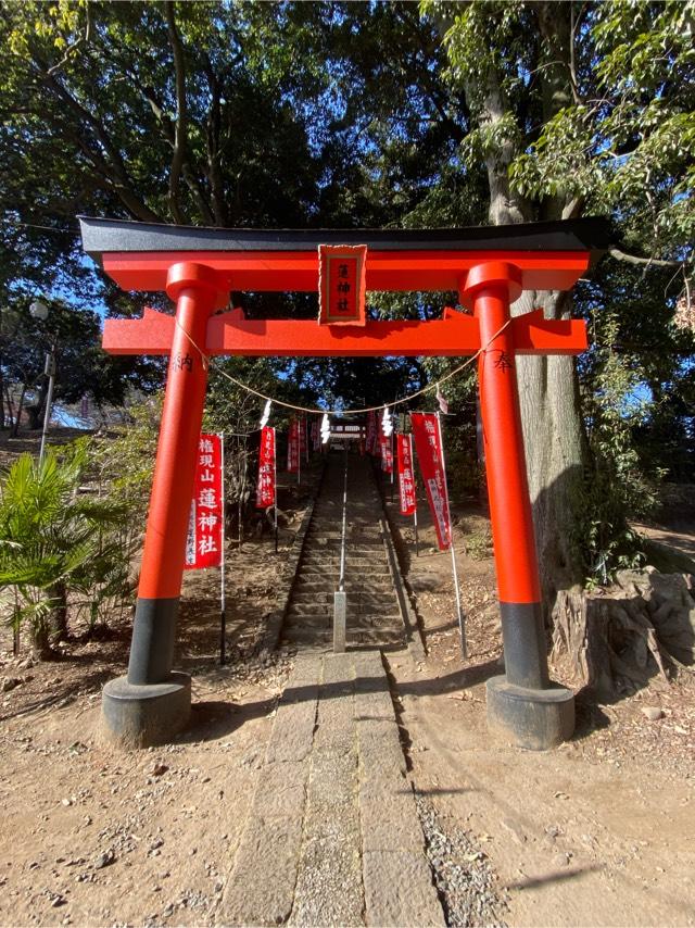 群馬県伊勢崎市豊城町1988番地1 蓮神社の写真3