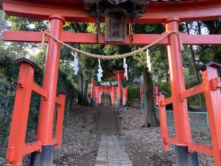 蓮神社の参拝記録(レモンサワーさん)