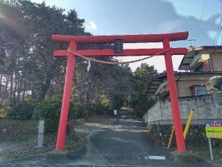 蓮神社の参拝記録(珍奇男さん)