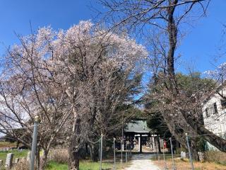 大國神社の参拝記録(レモンサワーさん)