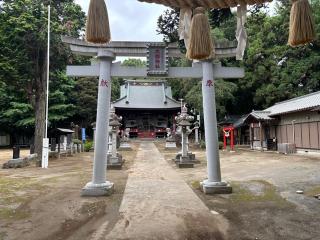大國神社の参拝記録(オリーブさん)