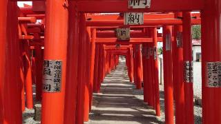 小泉稲荷神社の参拝記録(猫狂さん)