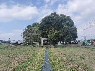 諏訪神社の参拝記録(さとみさん)