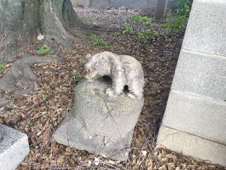 諏訪神社の参拝記録(さとみさん)