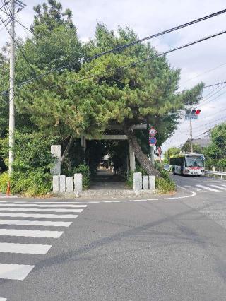 飯玉神社の参拝記録(さとみさん)