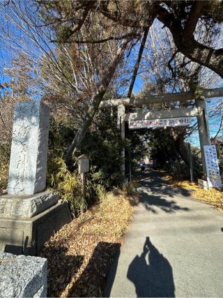 飯玉神社の参拝記録(こうさん)