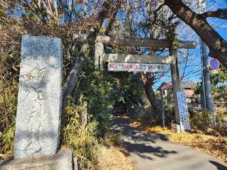 飯玉神社の参拝記録(サヨナラ王子さん)