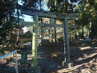 八坂神社の参拝記録(🐺⛩️🐺さん)