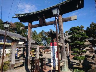 八坂神社の参拝記録(🐺⛩️🐺さん)