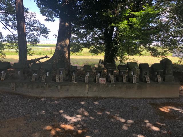 群馬県太田市世良田町1497番地 八坂神社の写真9