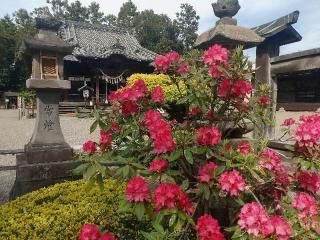 八坂神社の参拝記録(🌈かな⛩️さん)