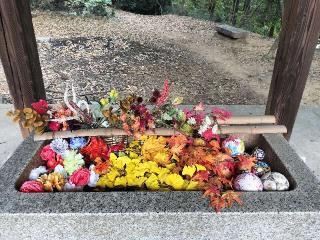 髙山神社の参拝記録(さとみさん)