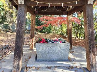 髙山神社の参拝記録(さとみさん)