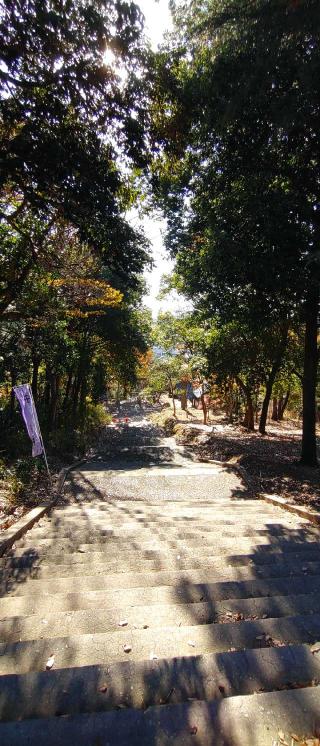 髙山神社の参拝記録(REIさん)