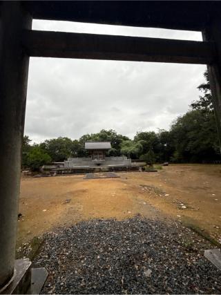 髙山神社の参拝記録(コットンさん)