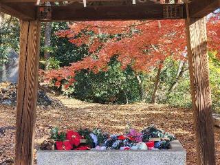 髙山神社の参拝記録(たけちゃ～ん⚾さん)